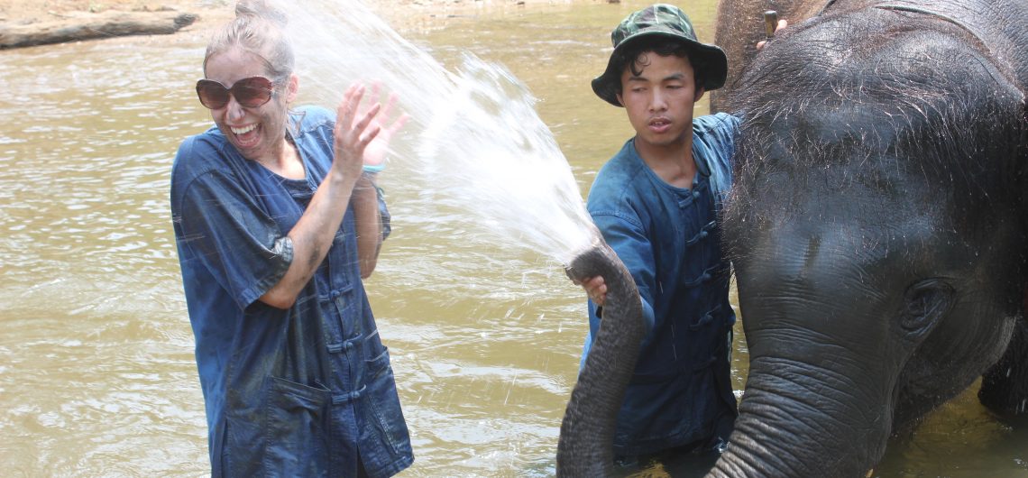 elephant trainer chang mai thailand