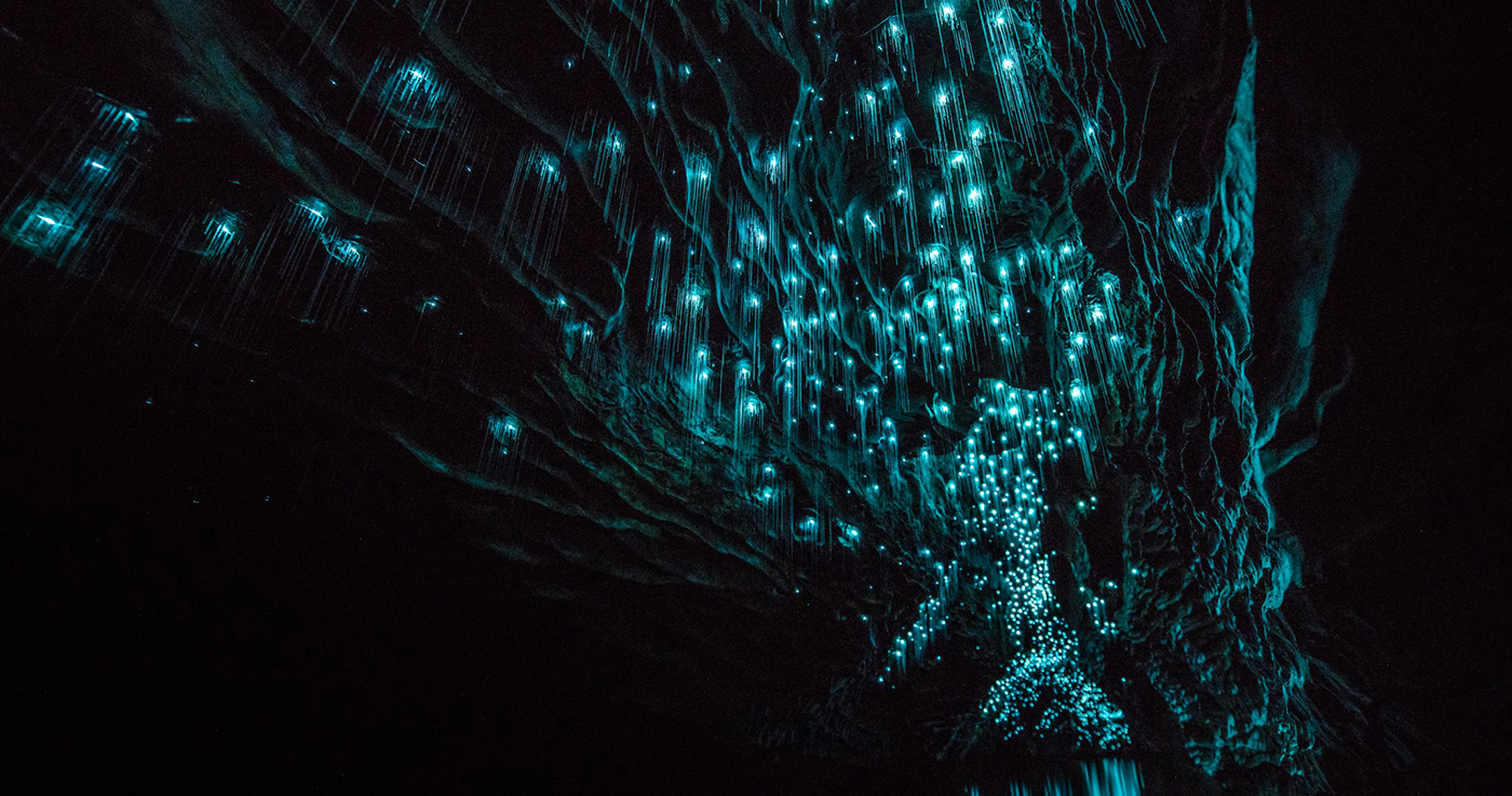 The Legendary Black Water Rafting Waitomo Glow Worm Caves