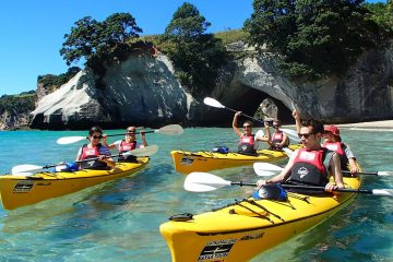 cathedral cove kayak tour new zealand north island half day