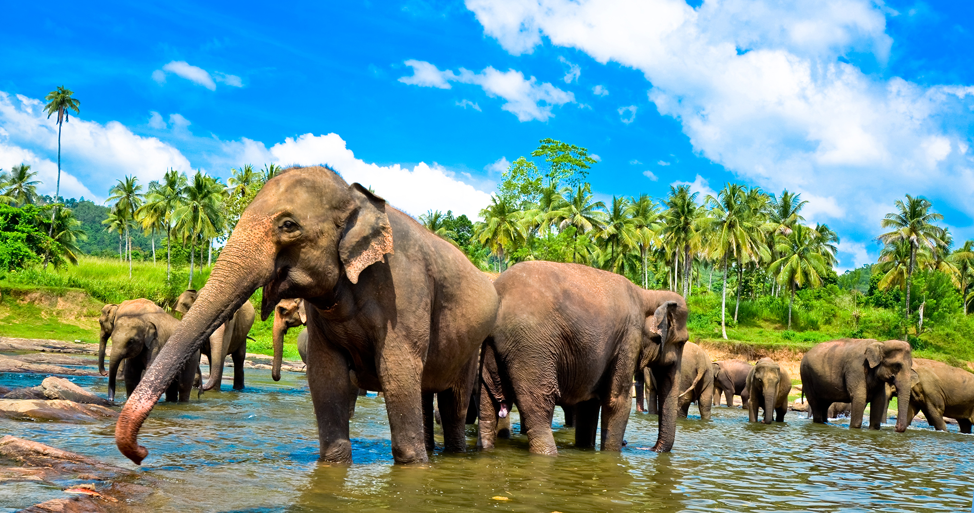 sri lanka uncover tour TruTravels south east asia backpacker group adventure